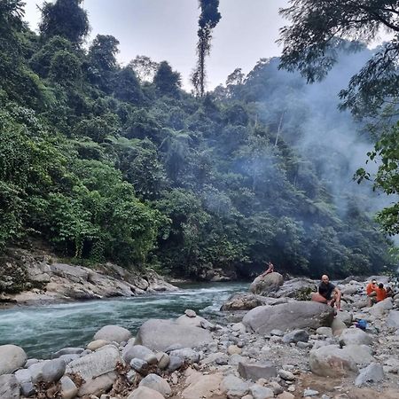 Lucky Bamboo'Bungalows-Resto And Orangutan Jungle Trekking Tours Bukit Lawang Exterior photo