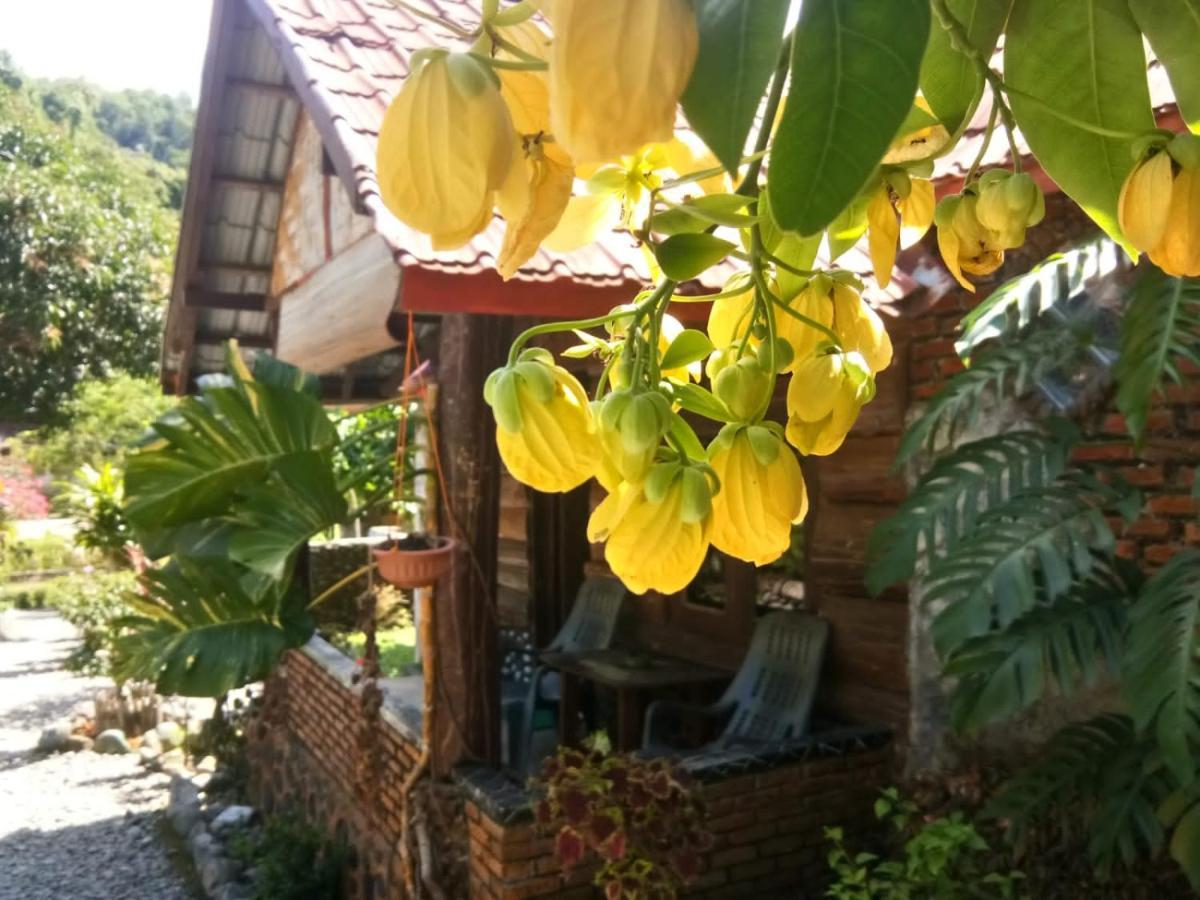 Lucky Bamboo'Bungalows-Resto And Orangutan Jungle Trekking Tours Bukit Lawang Exterior photo