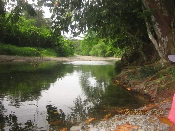 Lucky Bamboo'Bungalows-Resto And Orangutan Jungle Trekking Tours Bukit Lawang Exterior photo