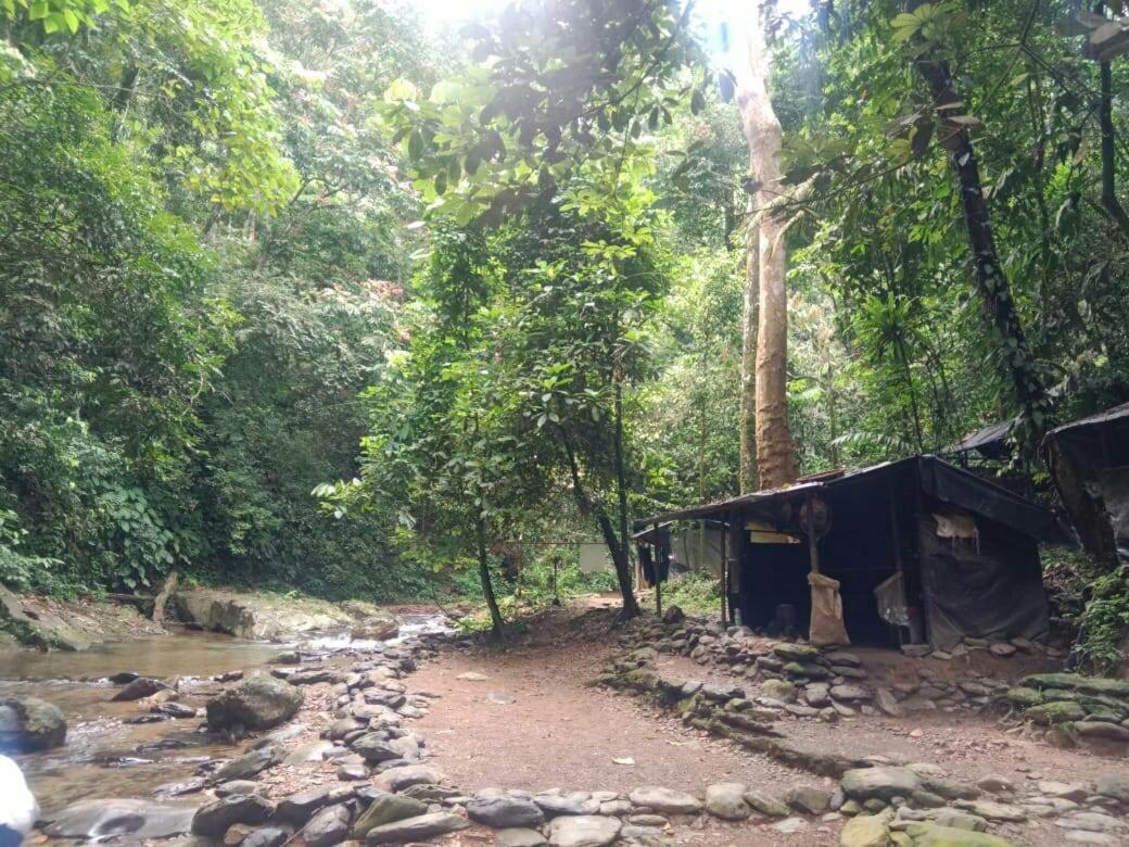 Lucky Bamboo'Bungalows-Resto And Orangutan Jungle Trekking Tours Bukit Lawang Exterior photo