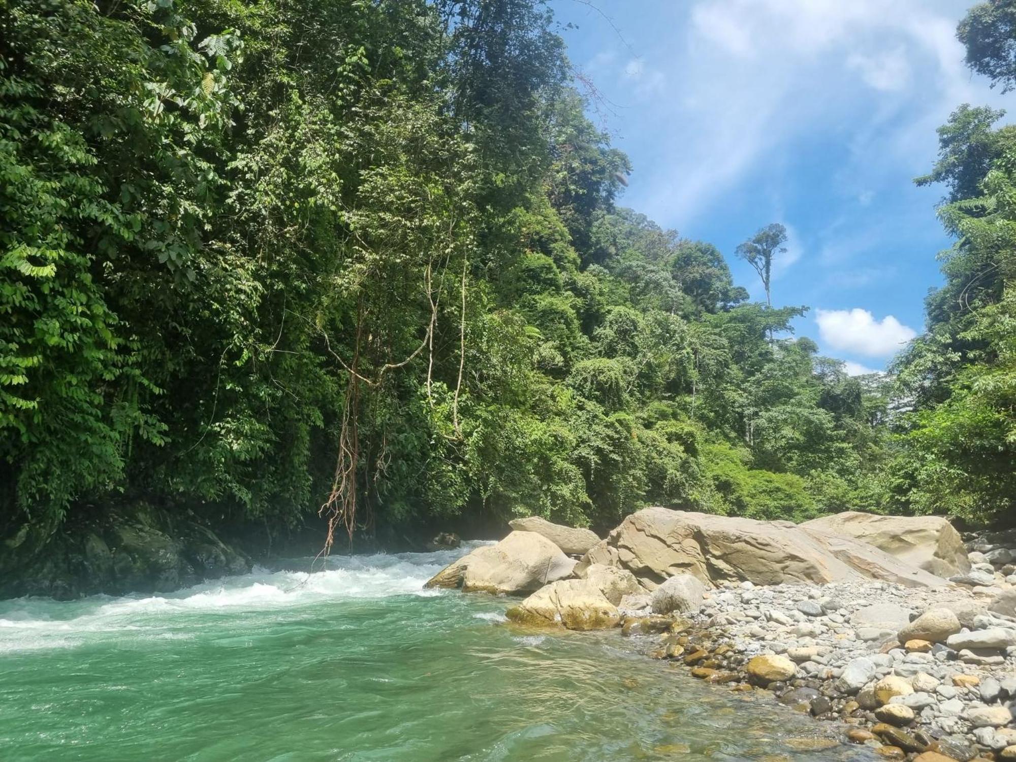 Lucky Bamboo'Bungalows-Resto And Orangutan Jungle Trekking Tours Bukit Lawang Exterior photo