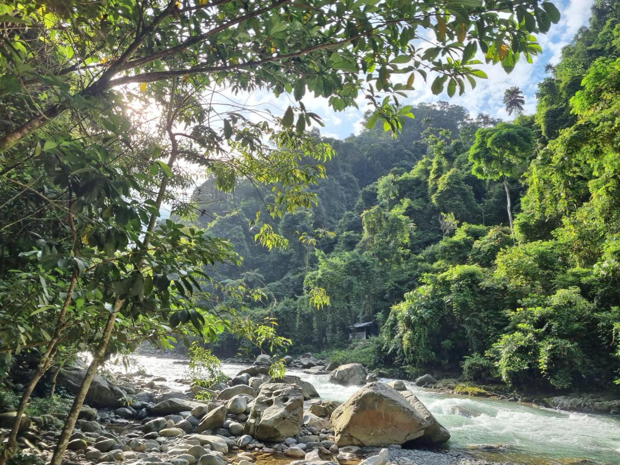 Lucky Bamboo'Bungalows-Resto And Orangutan Jungle Trekking Tours Bukit Lawang Exterior photo