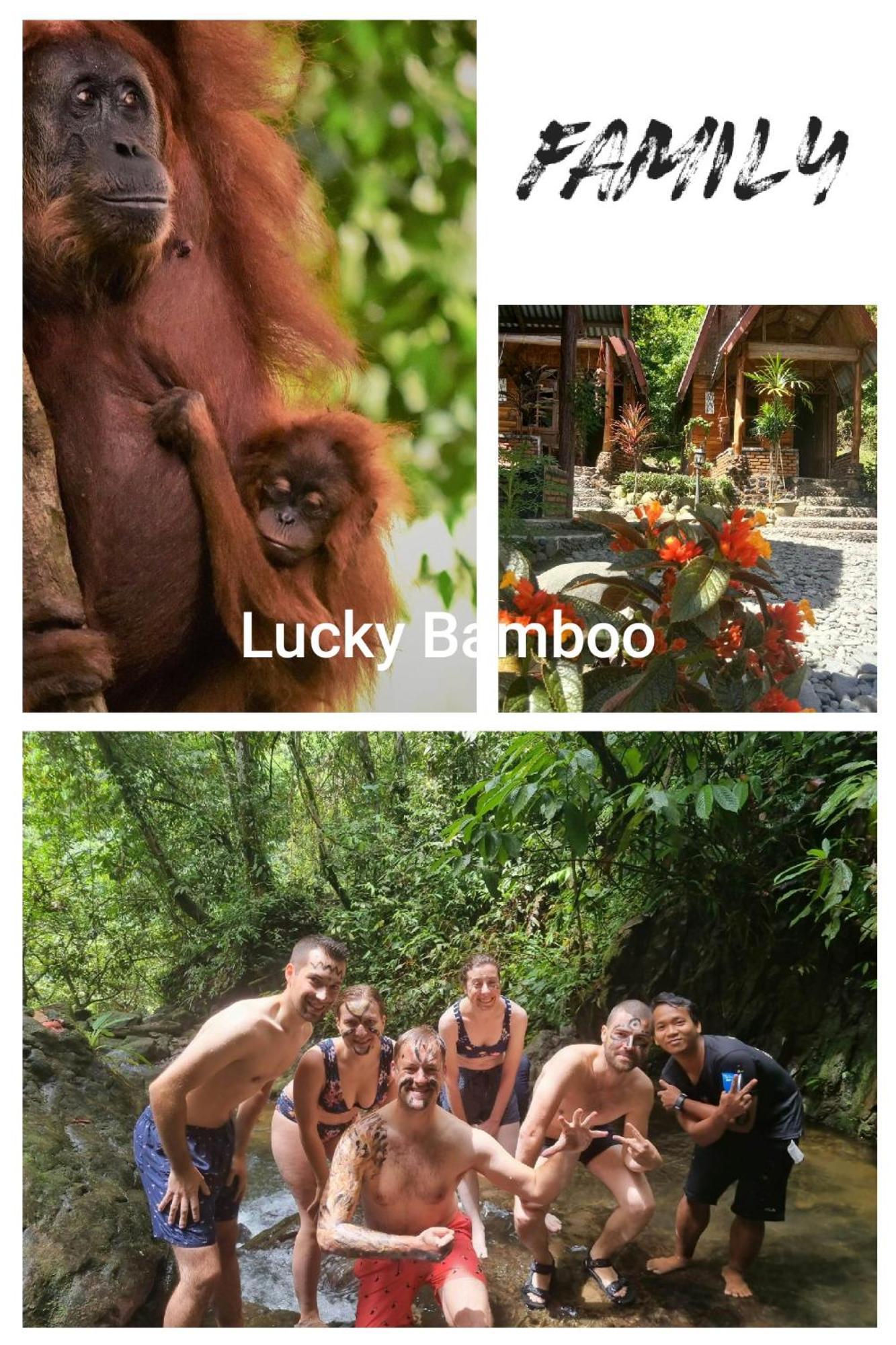 Lucky Bamboo'Bungalows-Resto And Orangutan Jungle Trekking Tours Bukit Lawang Exterior photo