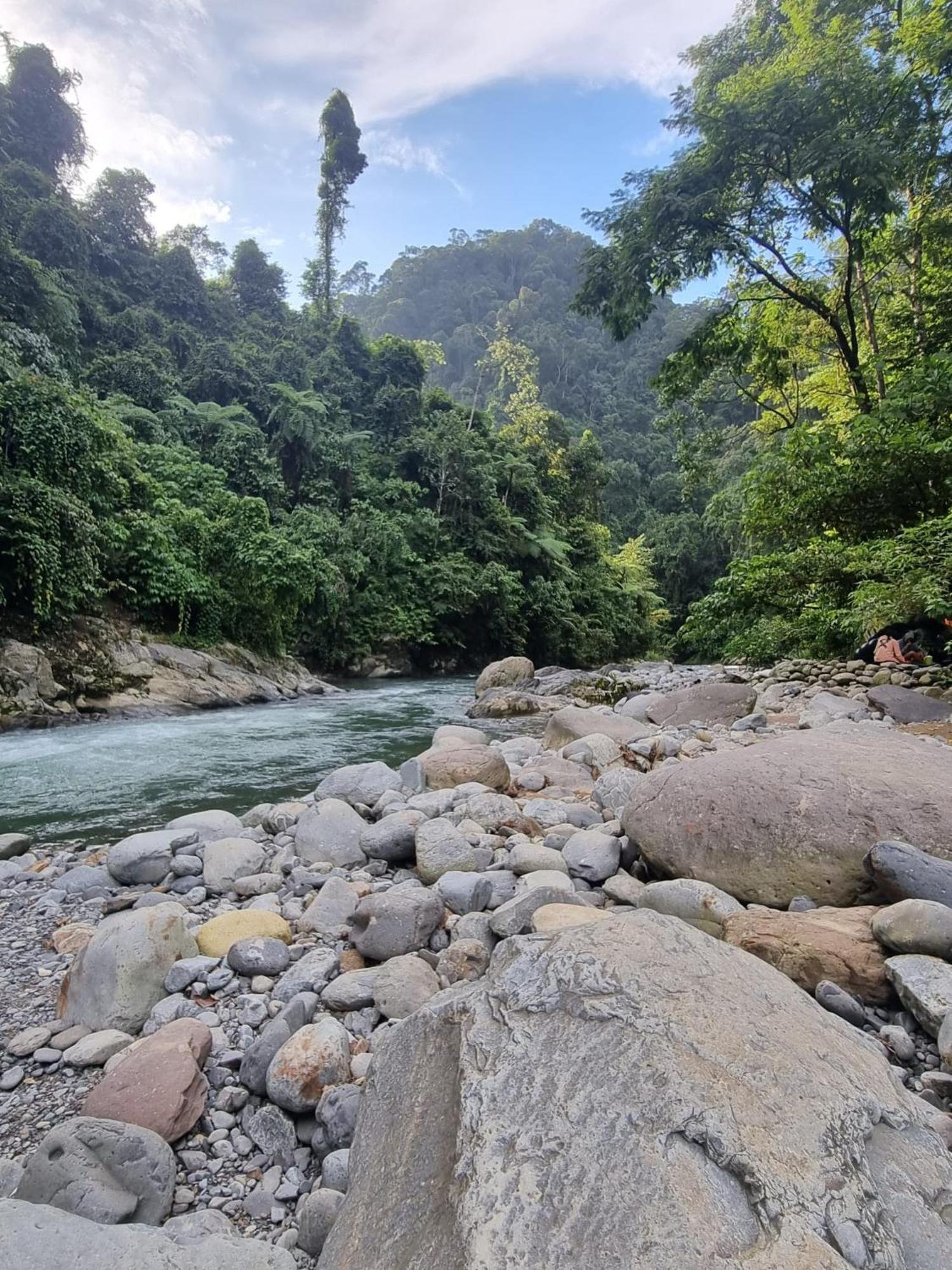 Lucky Bamboo'Bungalows-Resto And Orangutan Jungle Trekking Tours Bukit Lawang Exterior photo