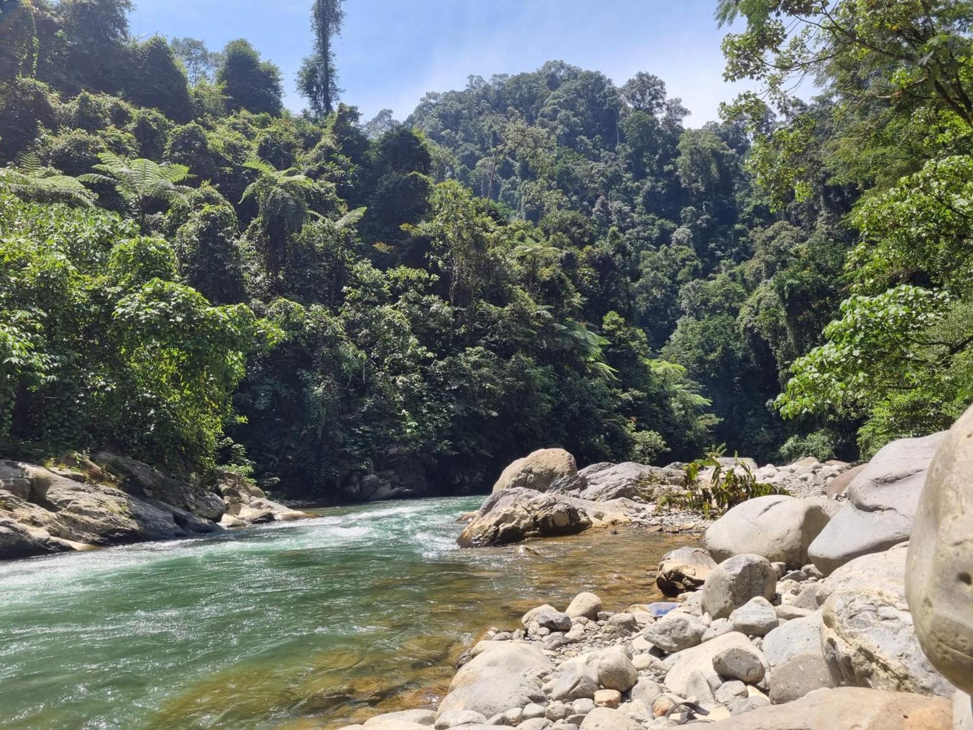 Lucky Bamboo'Bungalows-Resto And Orangutan Jungle Trekking Tours Bukit Lawang Exterior photo