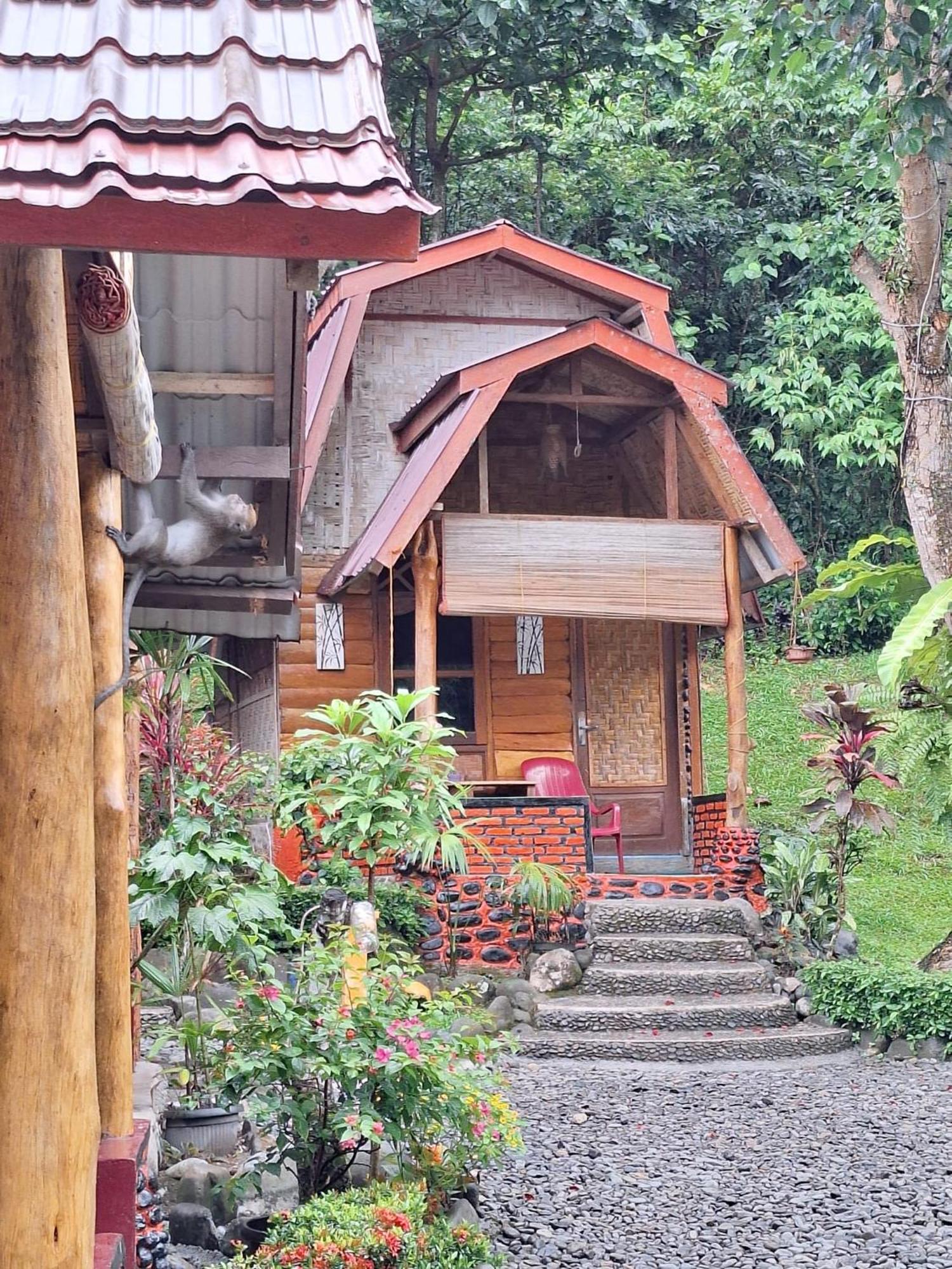 Lucky Bamboo'Bungalows-Resto And Orangutan Jungle Trekking Tours Bukit Lawang Exterior photo