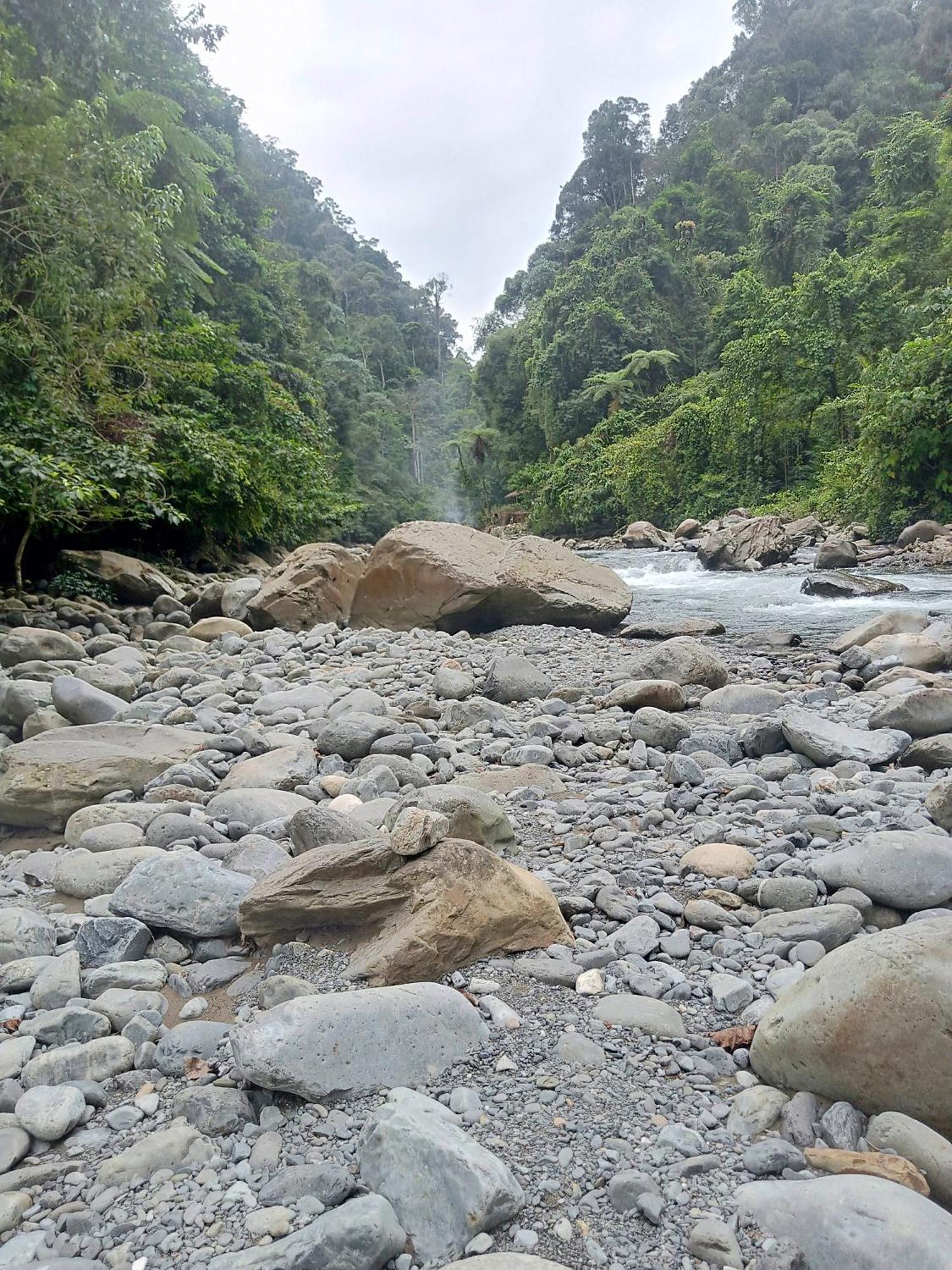 Lucky Bamboo'Bungalows-Resto And Orangutan Jungle Trekking Tours Bukit Lawang Exterior photo